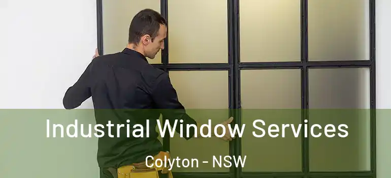 Industrial Window Services Colyton - NSW