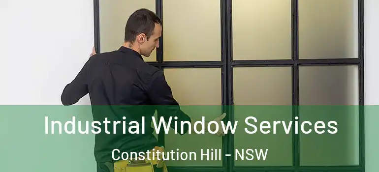  Industrial Window Services Constitution Hill - NSW
