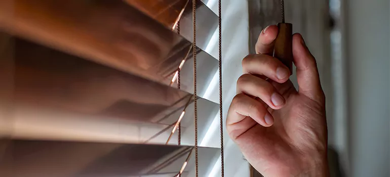 Double Roller Blinds in Casula, New South Wales