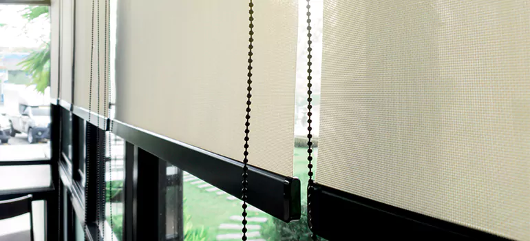 Blackout Window Shades in Sydney, New South Wales