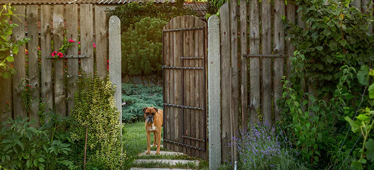 Winter Garden Garage Door Repair in Sydney,New South Wales