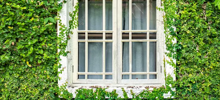 Garden Window Repair Near Me in Sydney, NSW
