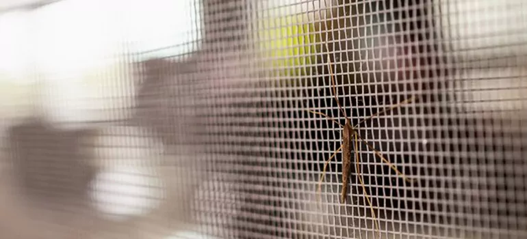 Repair Mosquito Mesh For Windows in Sydney, New South Wales