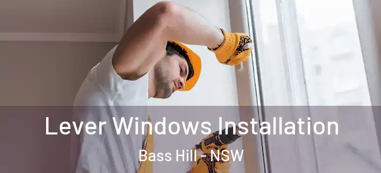 Lever Windows Installation Bass Hill - NSW