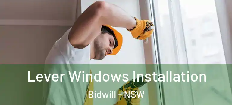 Lever Windows Installation Bidwill - NSW