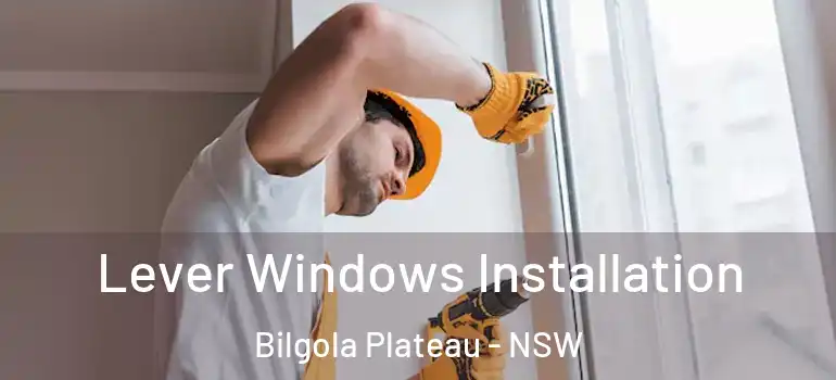 Lever Windows Installation Bilgola Plateau - NSW