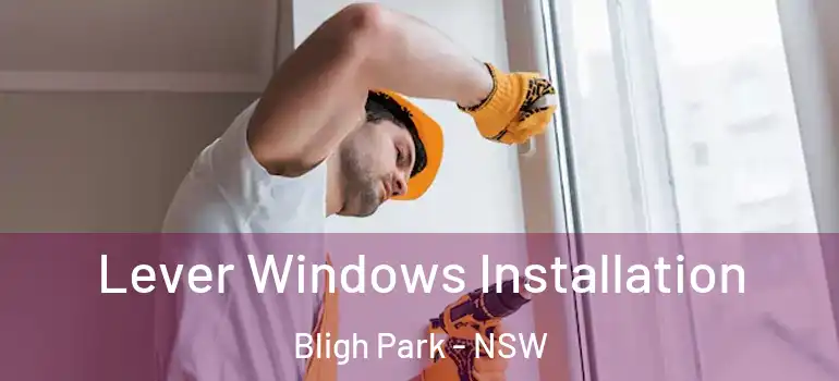Lever Windows Installation Bligh Park - NSW