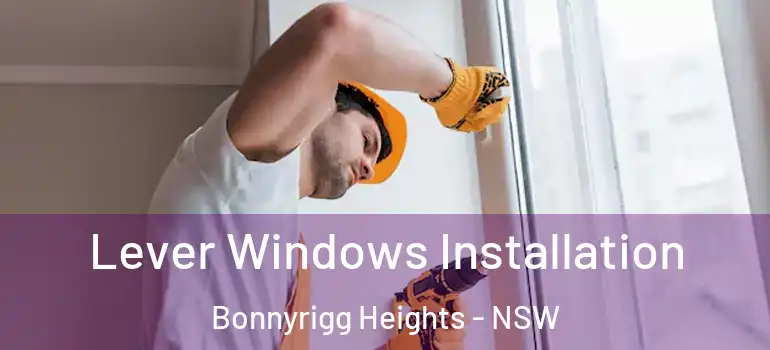 Lever Windows Installation Bonnyrigg Heights - NSW