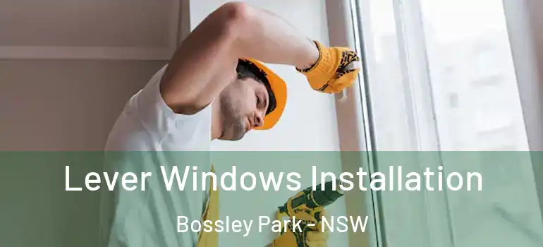 Lever Windows Installation Bossley Park - NSW