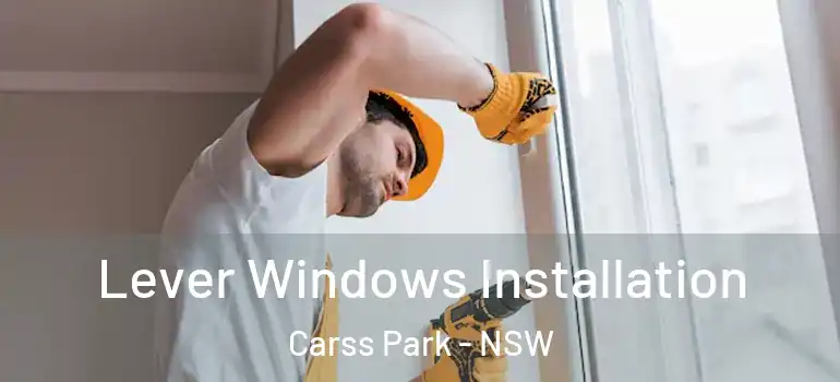 Lever Windows Installation Carss Park - NSW