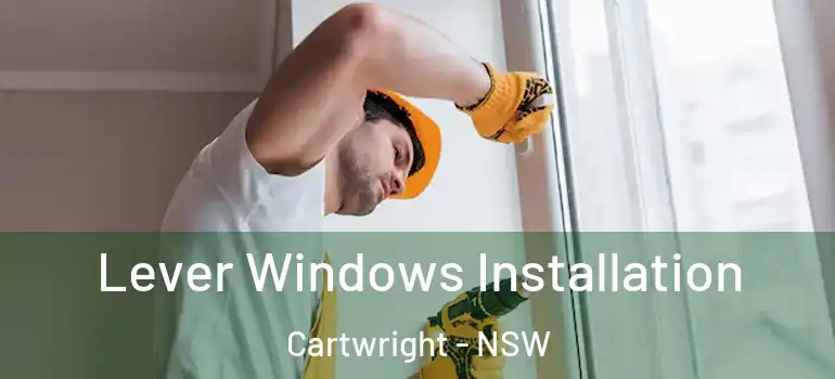 Lever Windows Installation Cartwright - NSW