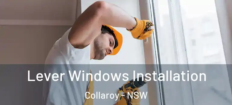 Lever Windows Installation Collaroy - NSW