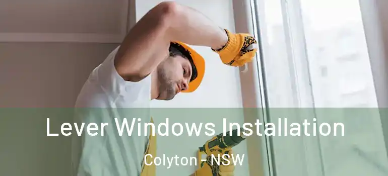 Lever Windows Installation Colyton - NSW