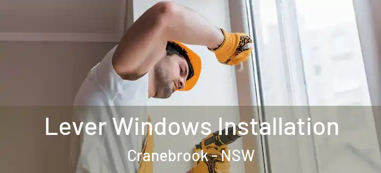 Lever Windows Installation Cranebrook - NSW