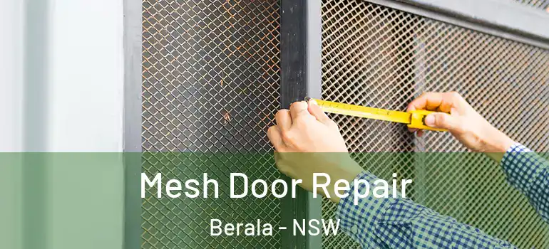 Mesh Door Repair Berala - NSW