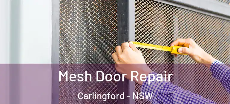 Mesh Door Repair Carlingford - NSW