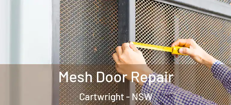 Mesh Door Repair Cartwright - NSW