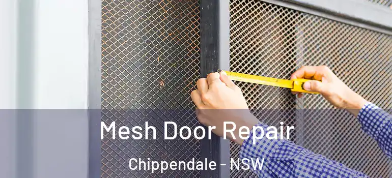 Mesh Door Repair Chippendale - NSW