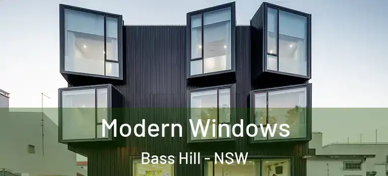 Modern Windows Bass Hill - NSW