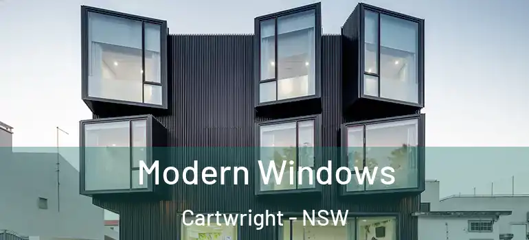  Modern Windows Cartwright - NSW