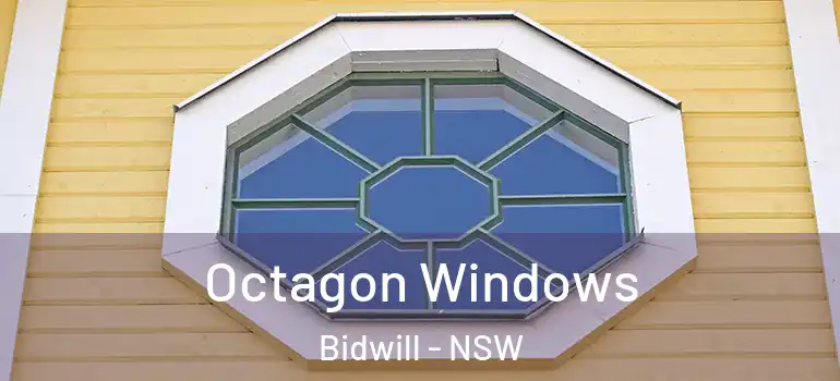 Octagon Windows Bidwill - NSW