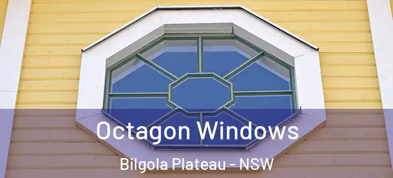 Octagon Windows Bilgola Plateau - NSW