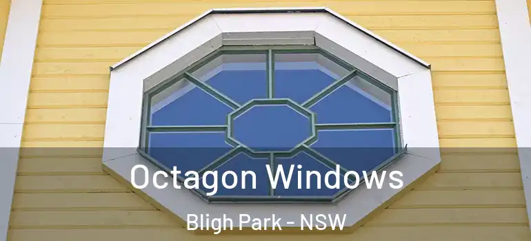 Octagon Windows Bligh Park - NSW