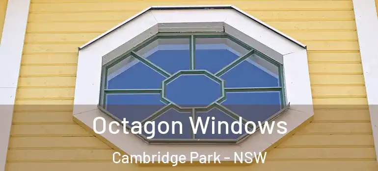 Octagon Windows Cambridge Park - NSW