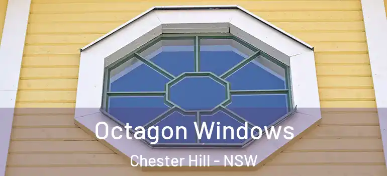 Octagon Windows Chester Hill - NSW