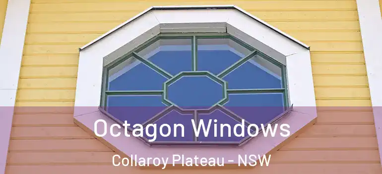 Octagon Windows Collaroy Plateau - NSW