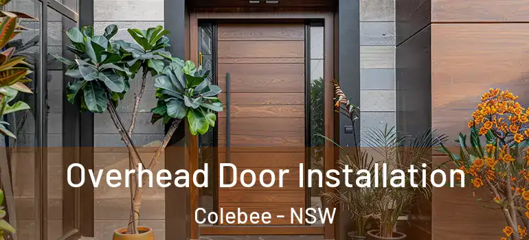 Overhead Door Installation Colebee - NSW