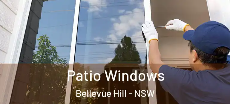 Patio Windows Bellevue Hill - NSW