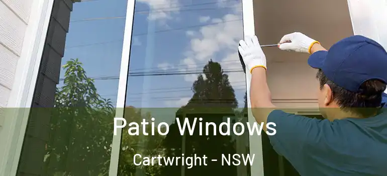  Patio Windows Cartwright - NSW