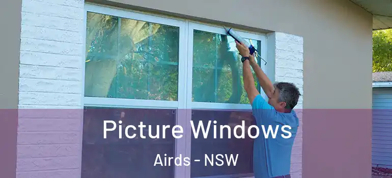 Picture Windows Airds - NSW