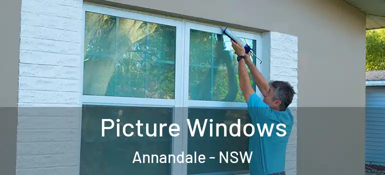  Picture Windows Annandale - NSW