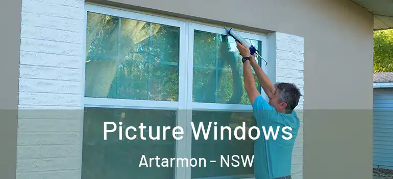 Picture Windows Artarmon - NSW