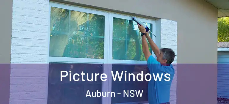 Picture Windows Auburn - NSW