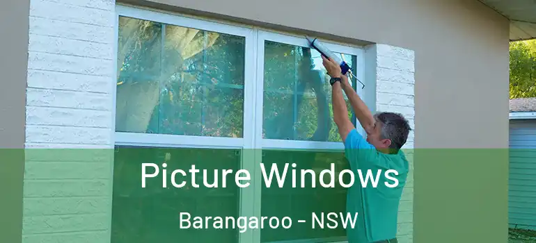  Picture Windows Barangaroo - NSW