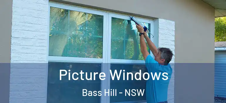 Picture Windows Bass Hill - NSW