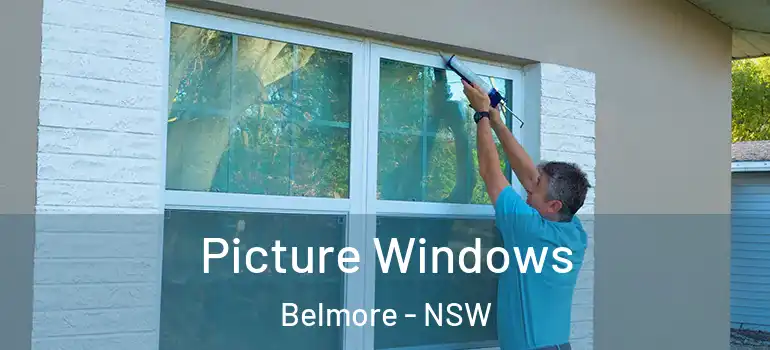  Picture Windows Belmore - NSW