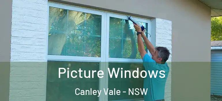 Picture Windows Canley Vale - NSW