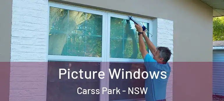  Picture Windows Carss Park - NSW