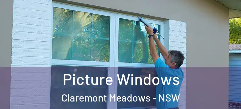  Picture Windows Claremont Meadows - NSW