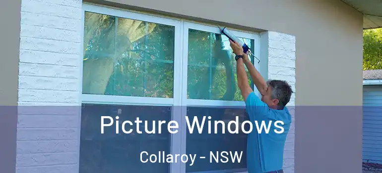 Picture Windows Collaroy - NSW