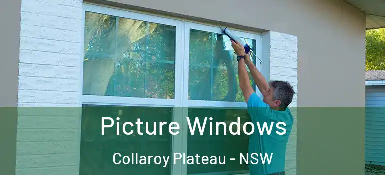 Picture Windows Collaroy Plateau - NSW