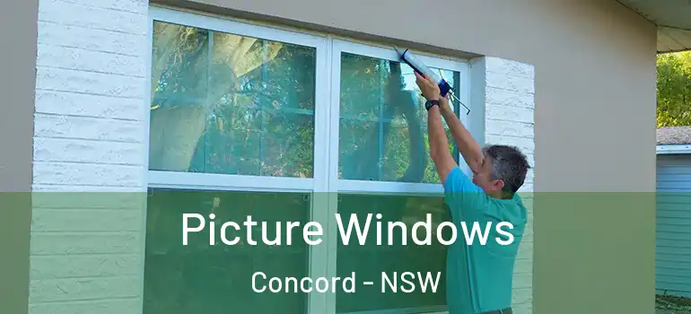  Picture Windows Concord - NSW