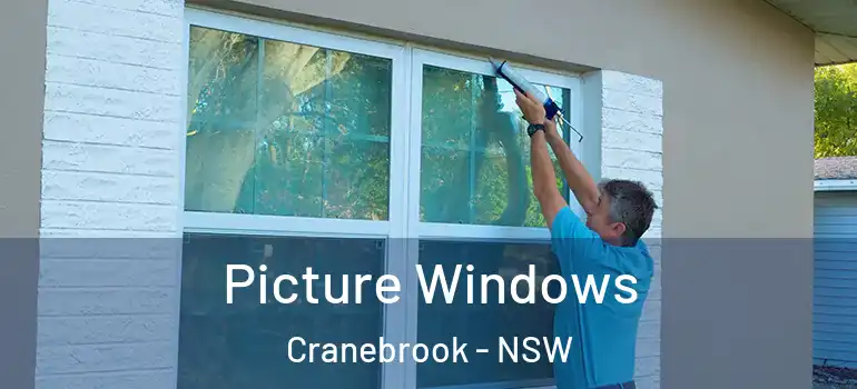  Picture Windows Cranebrook - NSW
