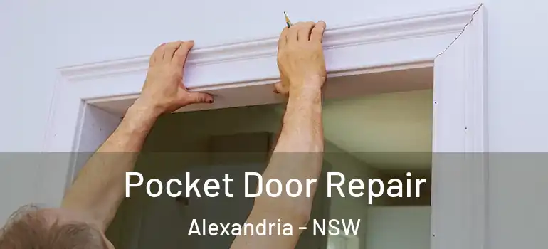 Pocket Door Repair Alexandria - NSW