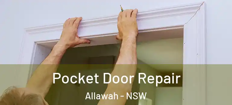 Pocket Door Repair Allawah - NSW