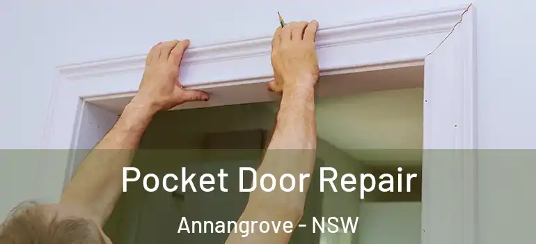  Pocket Door Repair Annangrove - NSW